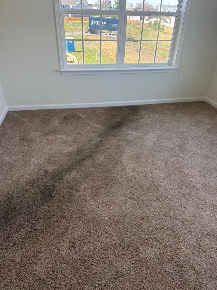 Carpet Deep Clean